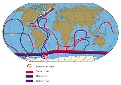 The Economics of the Ocean